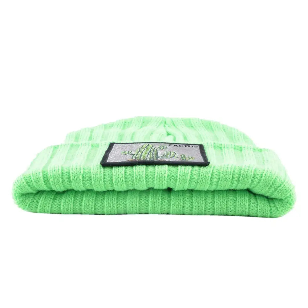 Cactus Patch Beanie