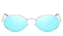 90's Oval Sunglasses - AESTHEDEX